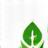 Leaf icon representing eco-friendly wood